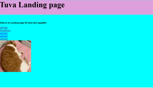 bild på landing page